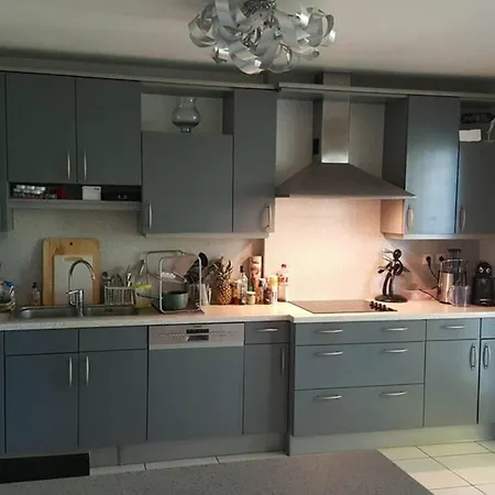 Appartement Superbe Duplex Au Nouveau Bassin Avec Vue Superbe Mulhouse
